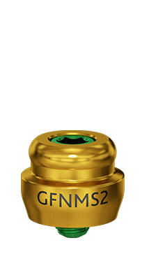 GFNMS2